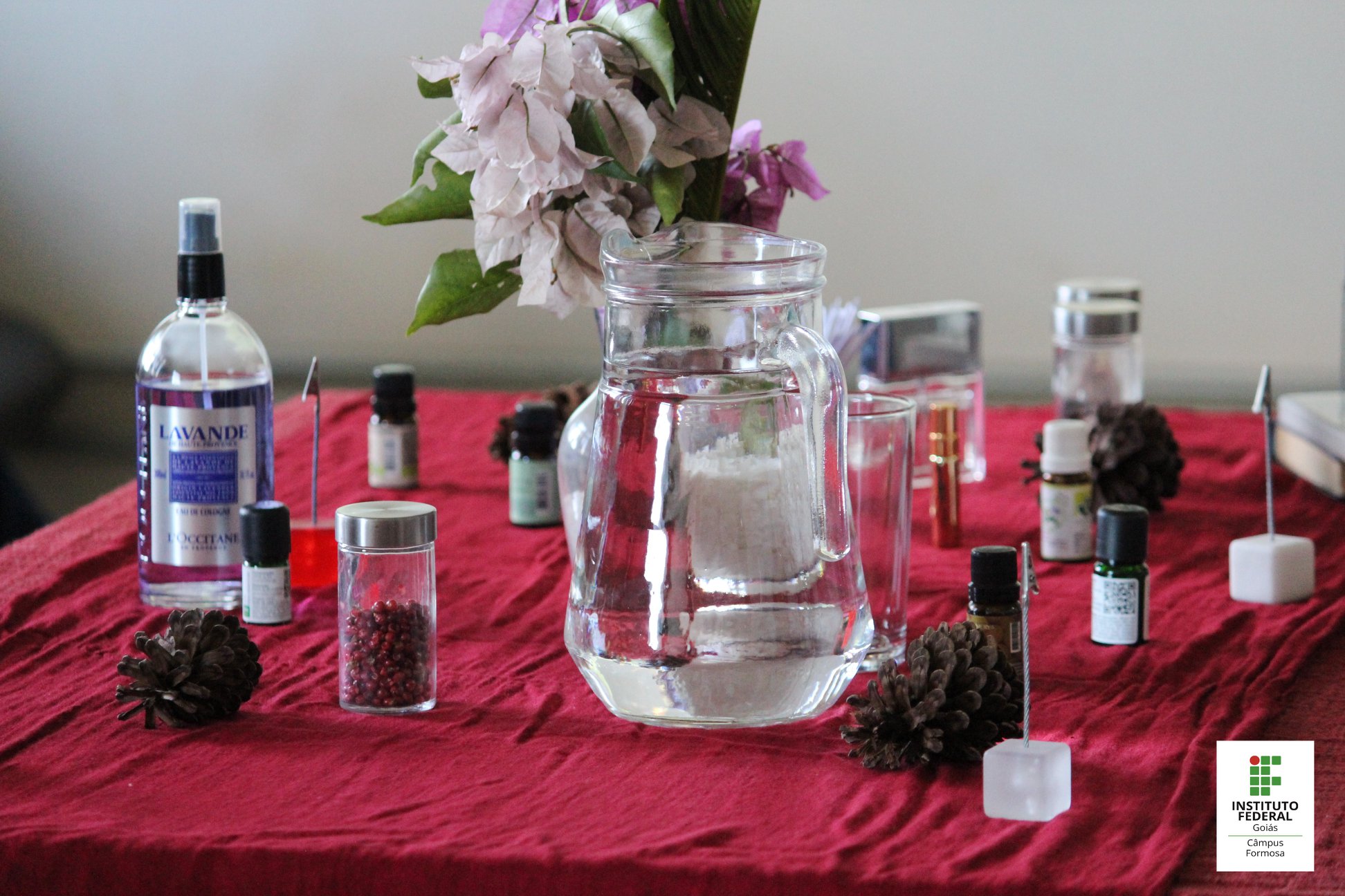 Estudo dos aromas realizado em oficina da Secitec, em 2019